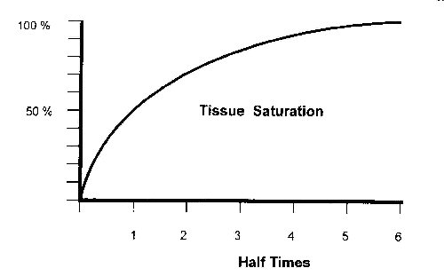 Half time graph